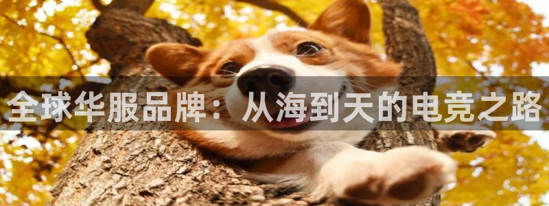 pp电子官网注册平台怎么注册不了：全球华服品牌：从海到天的电竞之路
