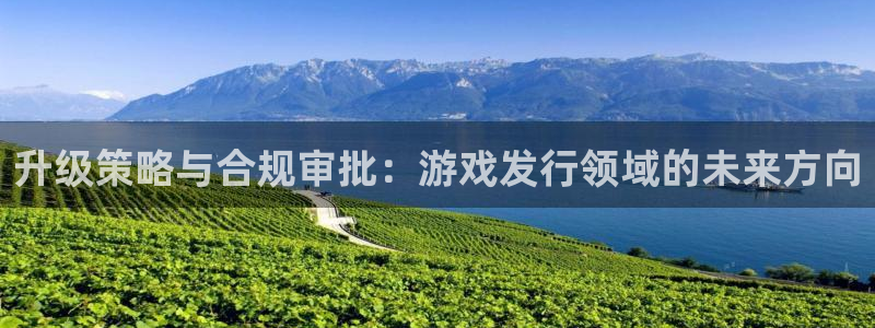 pp电子涂料怎么样