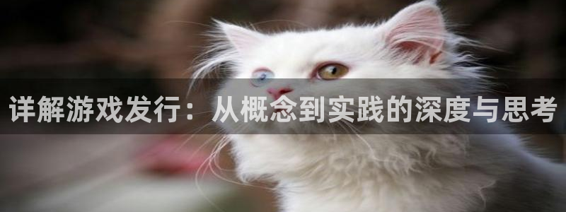 pp电子涂料怎么样：详解游戏发行：从概念到实践的深度与思考