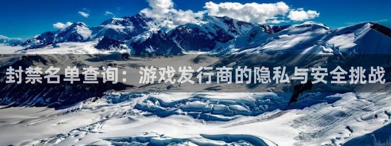 pp电子官网骗局是真的吗：封禁名单查询：游戏发行商的隐私与安全挑战