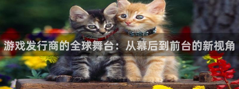 广东pp电子电商bruno