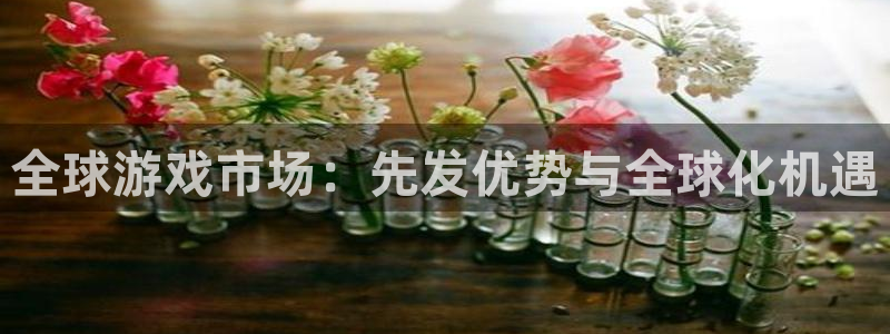 pp电子平台