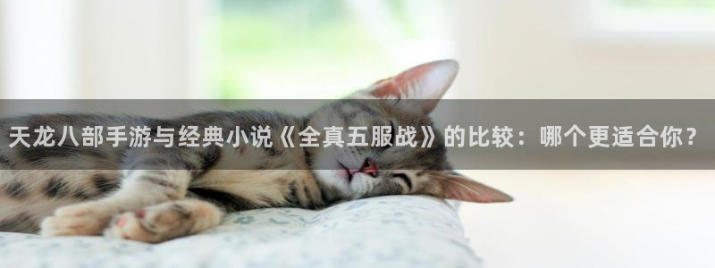 陕西pp电子子文化创意干啥的