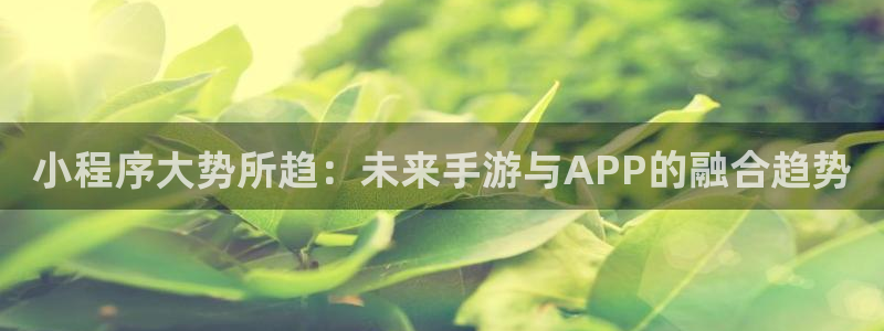 pp电子官网注册方法视频：小程序大势所趋：未来手游与APP的融合趋势