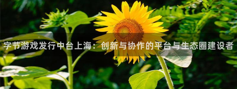 pp电子官网客服服务电话：字节游戏发行中台上海：创新与协作的平台与生态圈建设者