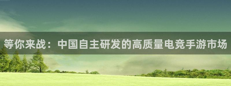 pp电子官网注册平台怎么注册：等你来战：中国自主研发的高质量电竞手游市场