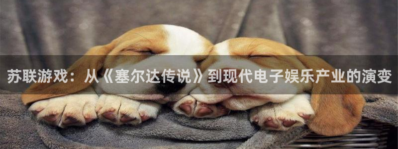 pp电子官网注册平台登录：苏联游戏：从《塞尔达传说》到现代电子娱乐产业的演变