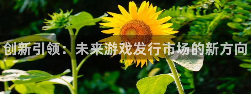 pp电子官网登录注册不了怎么办：创新引领：未来游戏发行市场的新方向