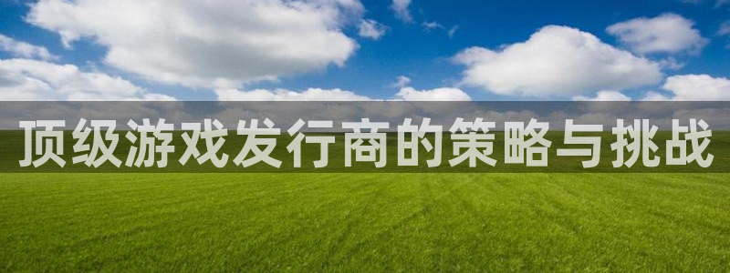 深圳pp电子电商