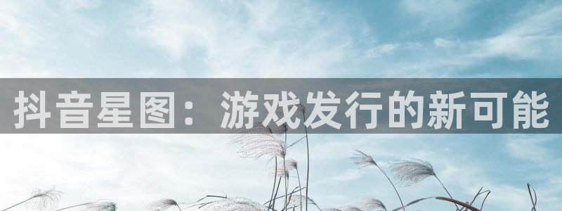 陕西pp电子子文化公司有什么游戏