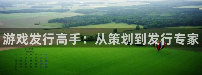 作者pp电子子小说：游戏发行高手：从策划到发行专家