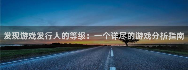 pp电子官网登录注册失败怎么办：发现游戏发行人的等级：一个详尽的游戏分析指南