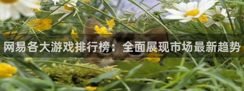 pp电子lvnces官网