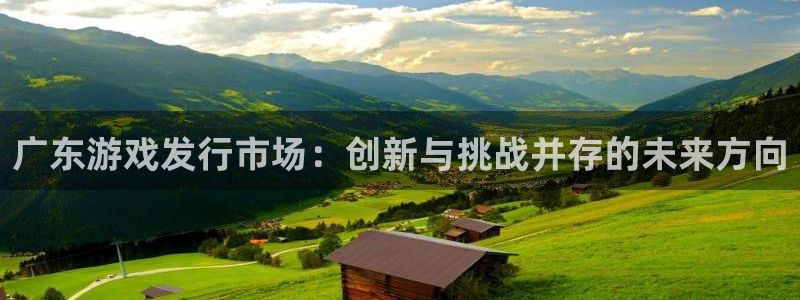 pp电子工坊：广东游戏发行市场：创新与挑战并存的未来方向