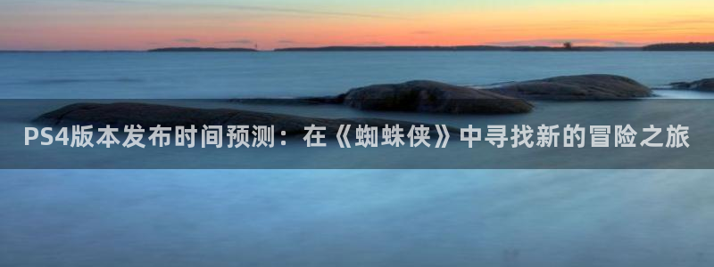 pp电子技术有限公司